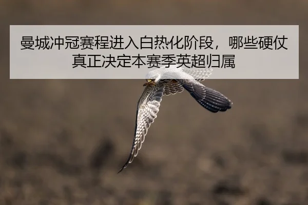 man-cheng-chong-guan-sai-cheng-jin-ru-bai-re-hua-jie-duan-na-xie-ying-zhang-zhen-zheng-jue-ding-ben-sai-ji-ying-chao-2-729.jpg